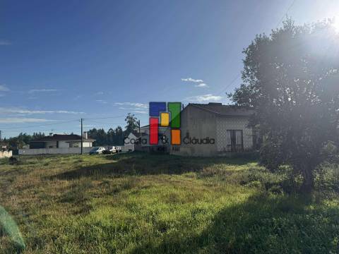 Terreno Para Construção  Venda em Mira,Mira