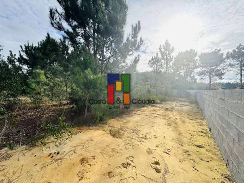 Terreno Urbano  Venda em Mira,Mira