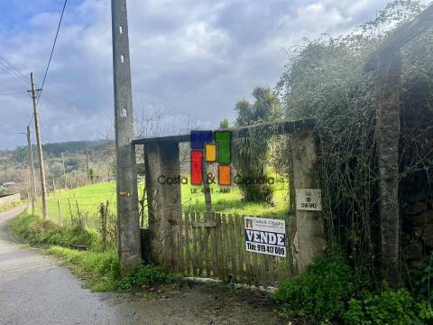 Terreno Urbano  Venda em Serrazes,São Pedro do Sul