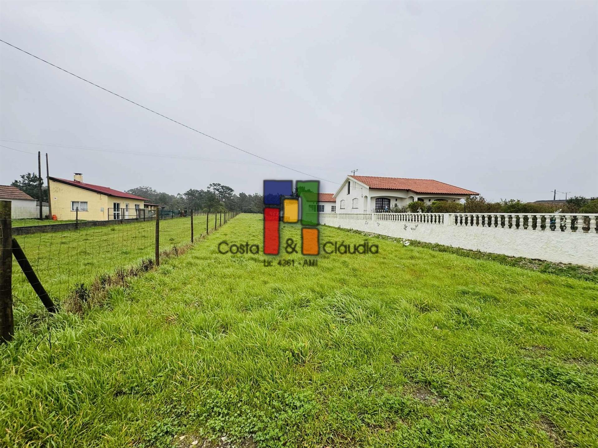 Terreno Para Construção  Venda em Praia de Mira,Mira