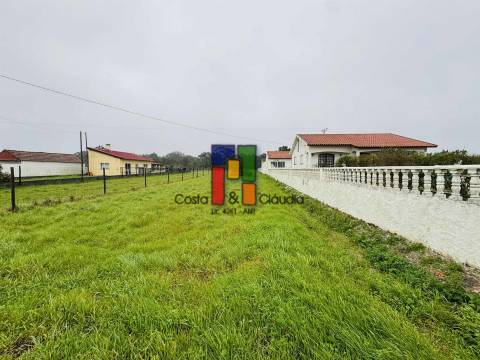 Terreno Para Construção  Venda em Praia de Mira,Mira