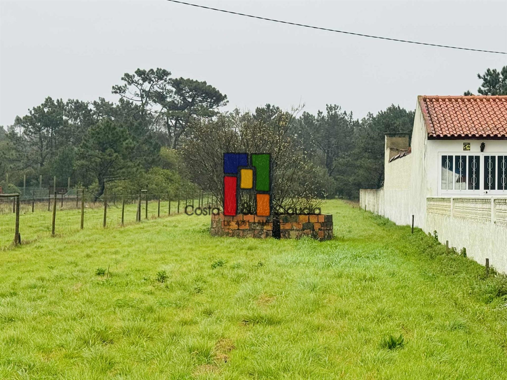 Terreno Para Construção  Venda em Praia de Mira,Mira