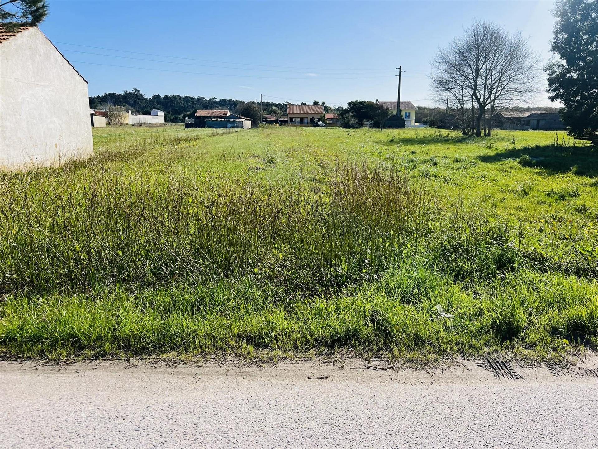 Terreno Rústico  Venda em Praia de Mira,Mira