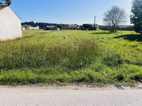 Terreno Rústico  Venda em Praia de Mira,Mira