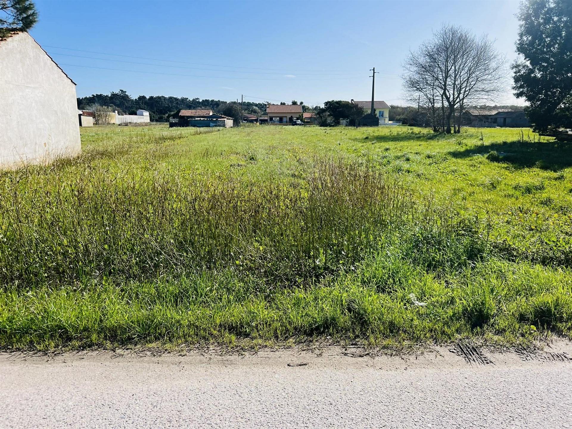 Terreno Rústico  Venda em Praia de Mira,Mira