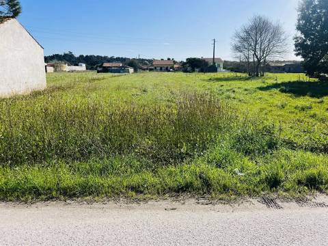 Terreno Rústico  Venda em Praia de Mira,Mira
