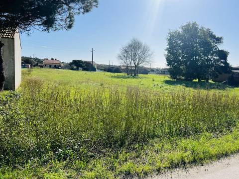 Terreno Rústico  Venda em Praia de Mira,Mira