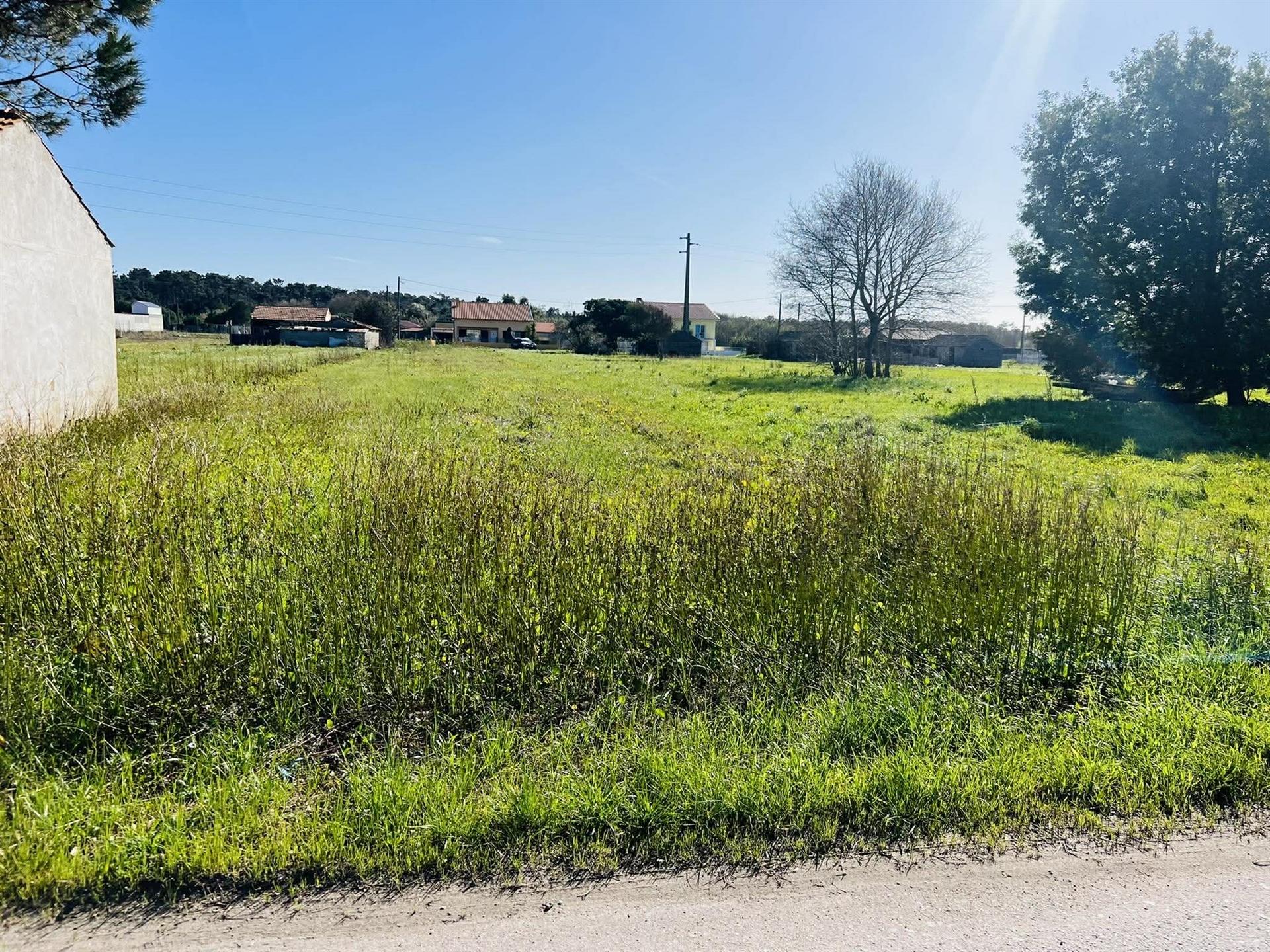 Terreno Rústico  Venda em Praia de Mira,Mira