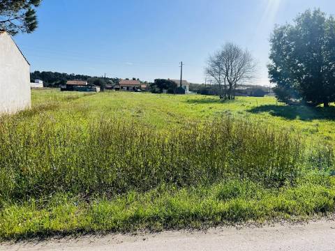 Terreno Rústico  Venda em Praia de Mira,Mira