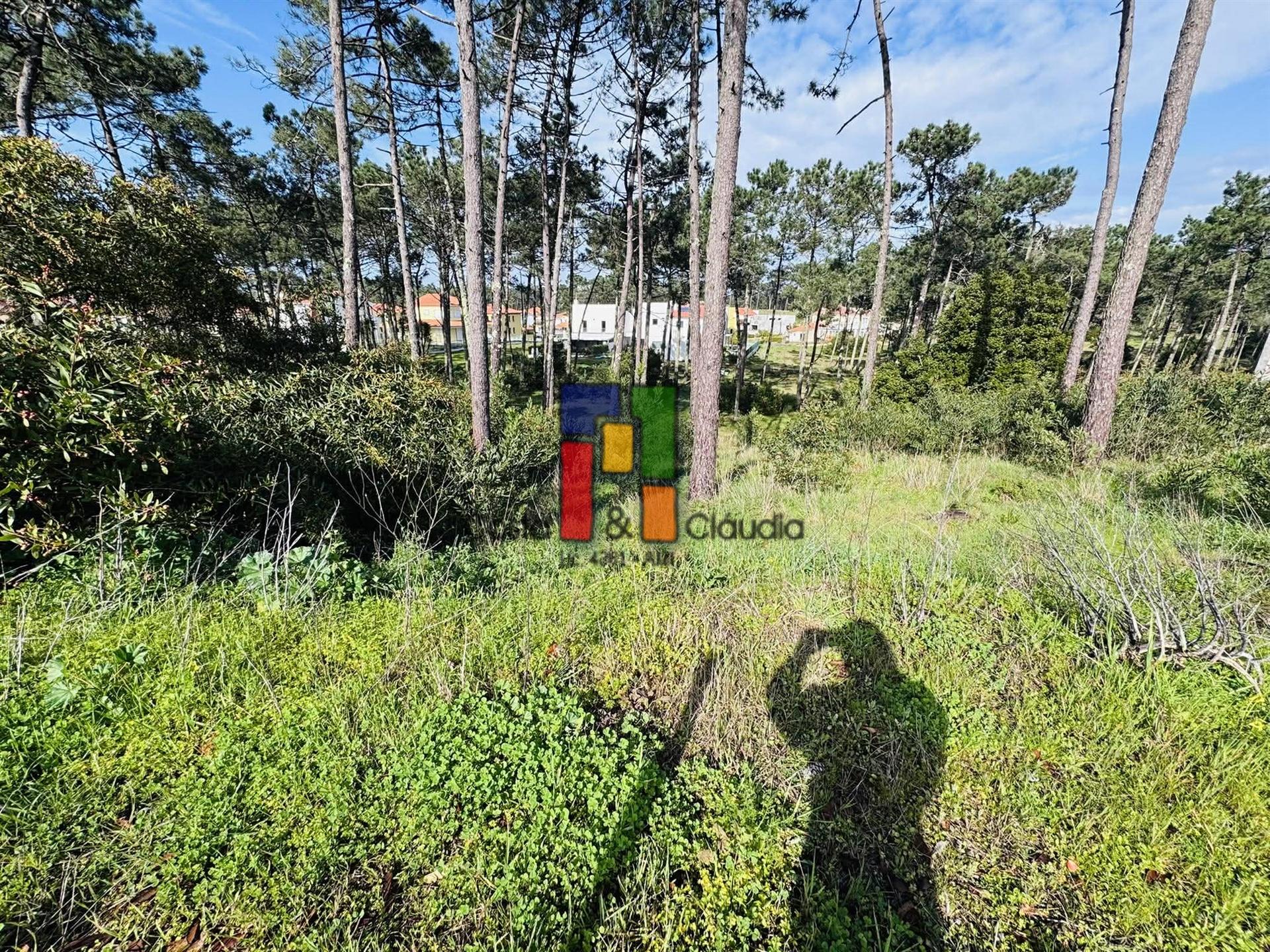 Terreno Urbano  Venda em Praia de Mira,Mira