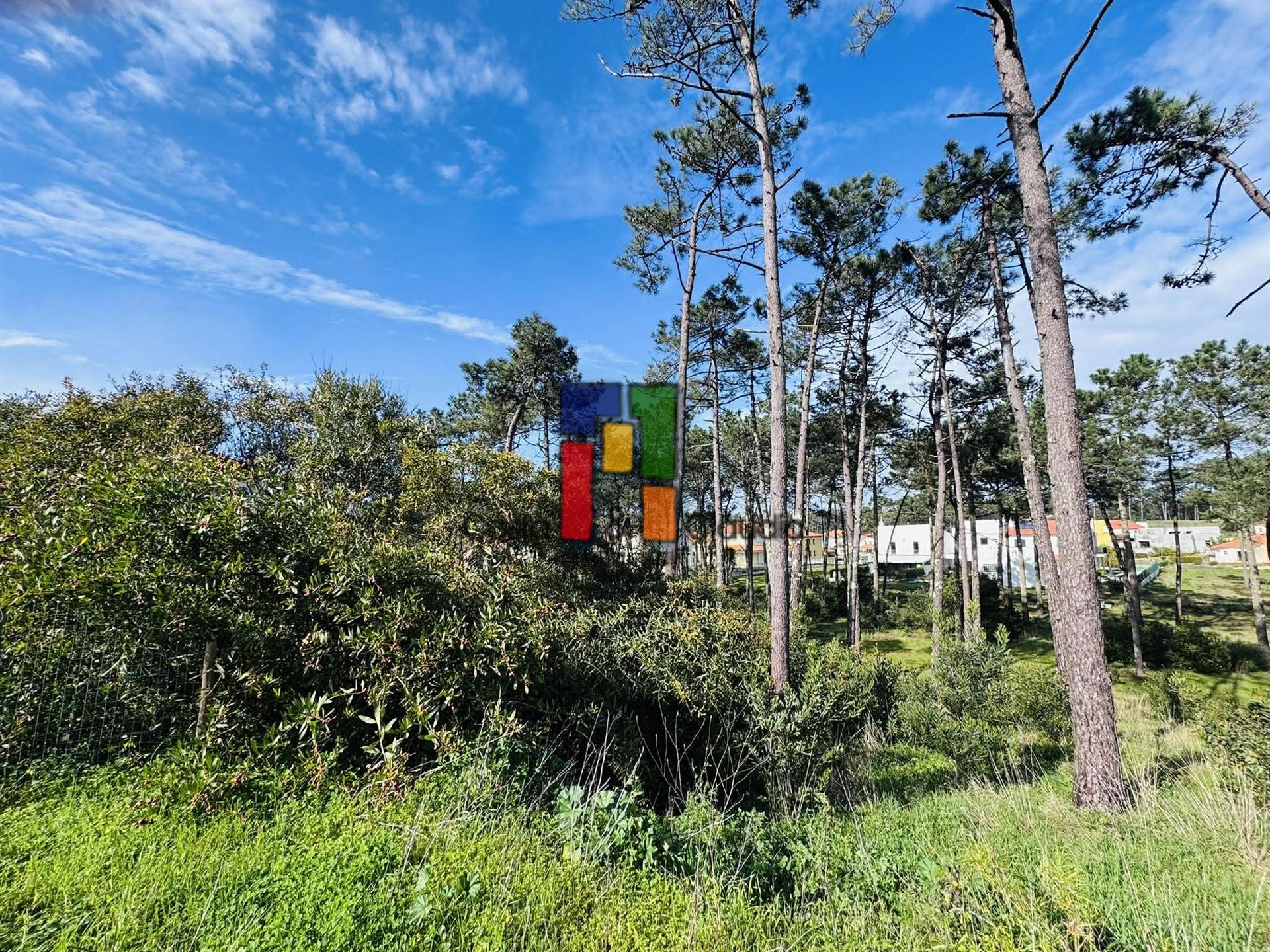 Terreno Urbano  Venda em Praia de Mira,Mira