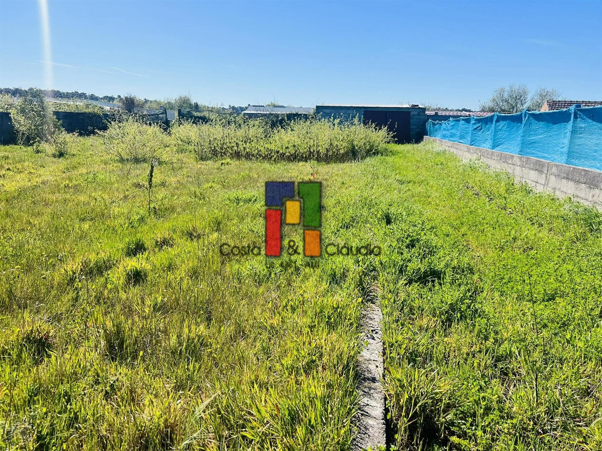 Terreno Rústico  Venda em Praia de Mira,Mira