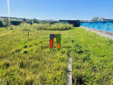 Terreno Rústico  Venda em Praia de Mira,Mira