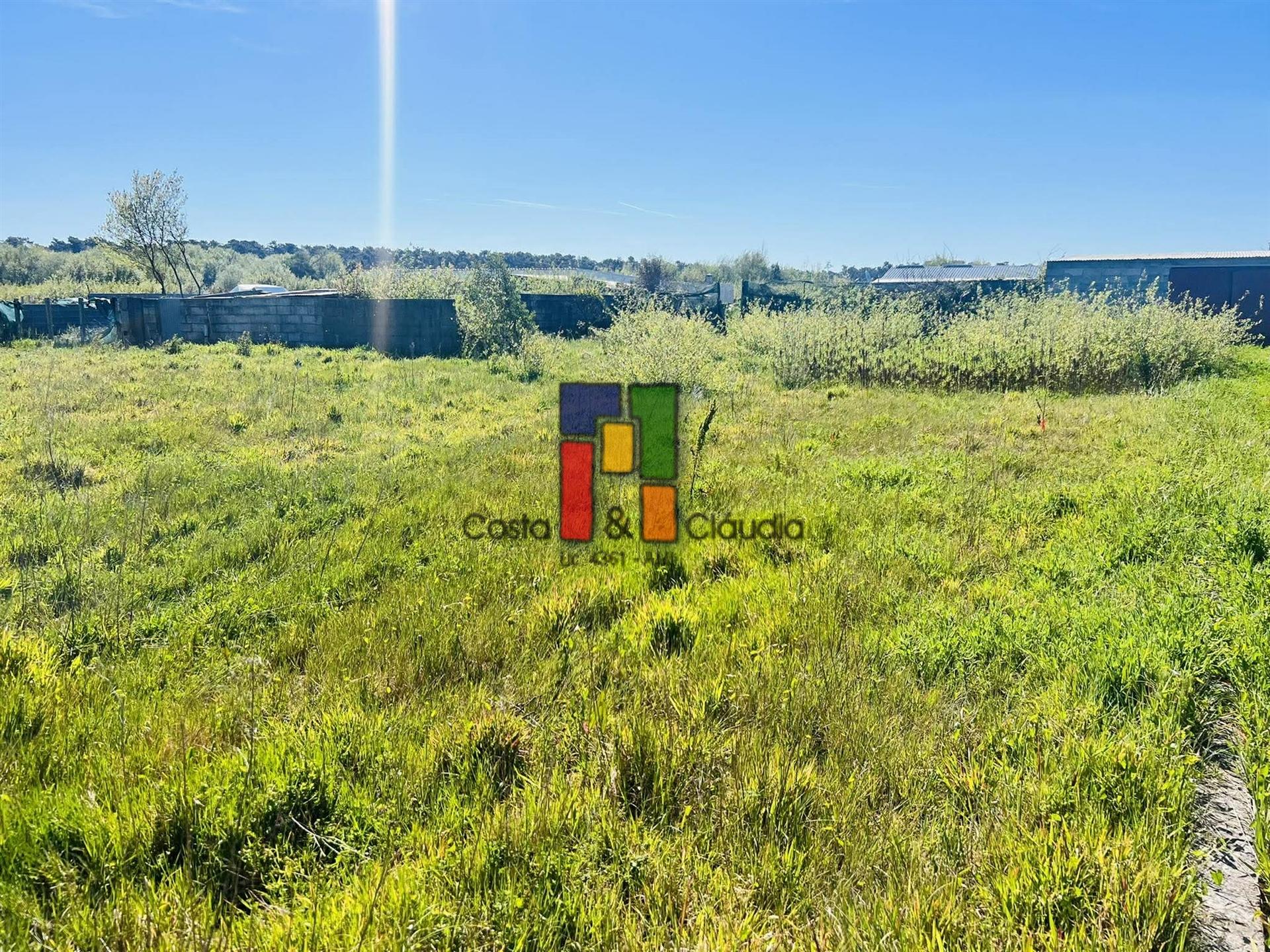 Terreno Rústico  Venda em Praia de Mira,Mira