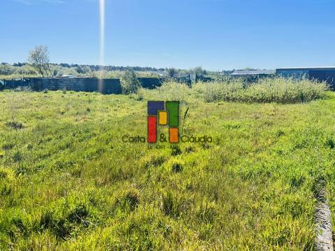 Terreno Rústico  Venda em Praia de Mira,Mira