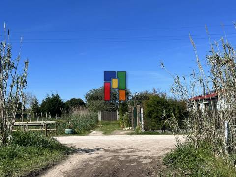 Terreno Rústico  Venda em Praia de Mira,Mira