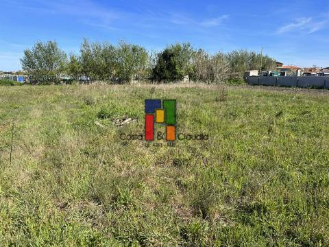 Terreno Rústico  Venda em Praia de Mira,Mira