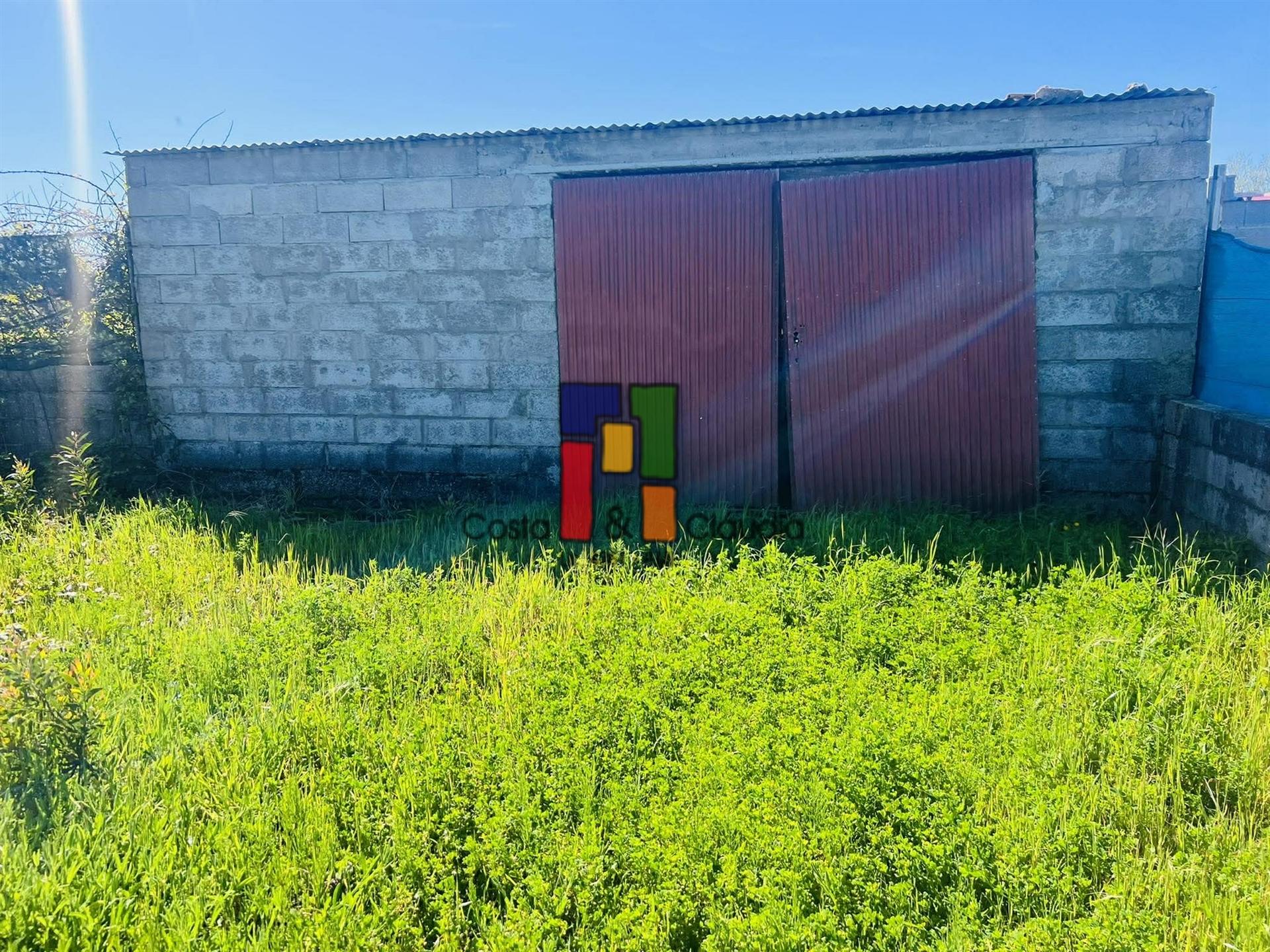 Terreno Rústico  Venda em Praia de Mira,Mira