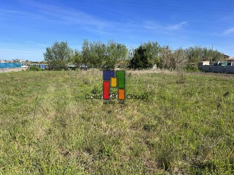 Terreno Rústico  Venda em Praia de Mira,Mira