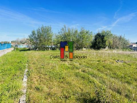 Terreno Rústico  Venda em Praia de Mira,Mira