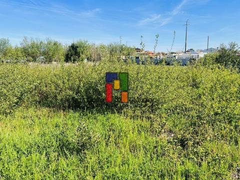 Terreno Rústico  Venda em Praia de Mira,Mira