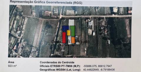 Terreno Rústico  Venda em Praia de Mira,Mira