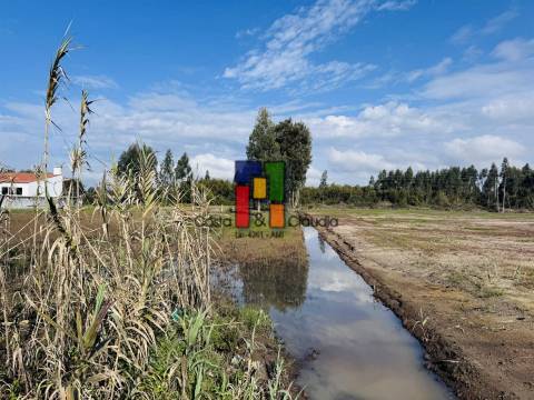 Lote Industrial  Venda em Mira,Mira