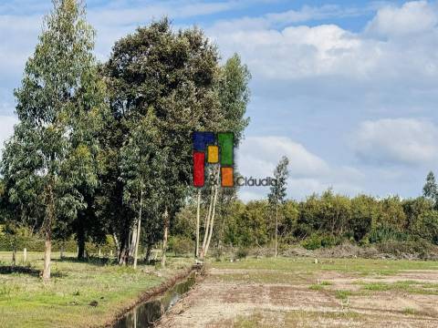 Lote Industrial  Venda em Mira,Mira