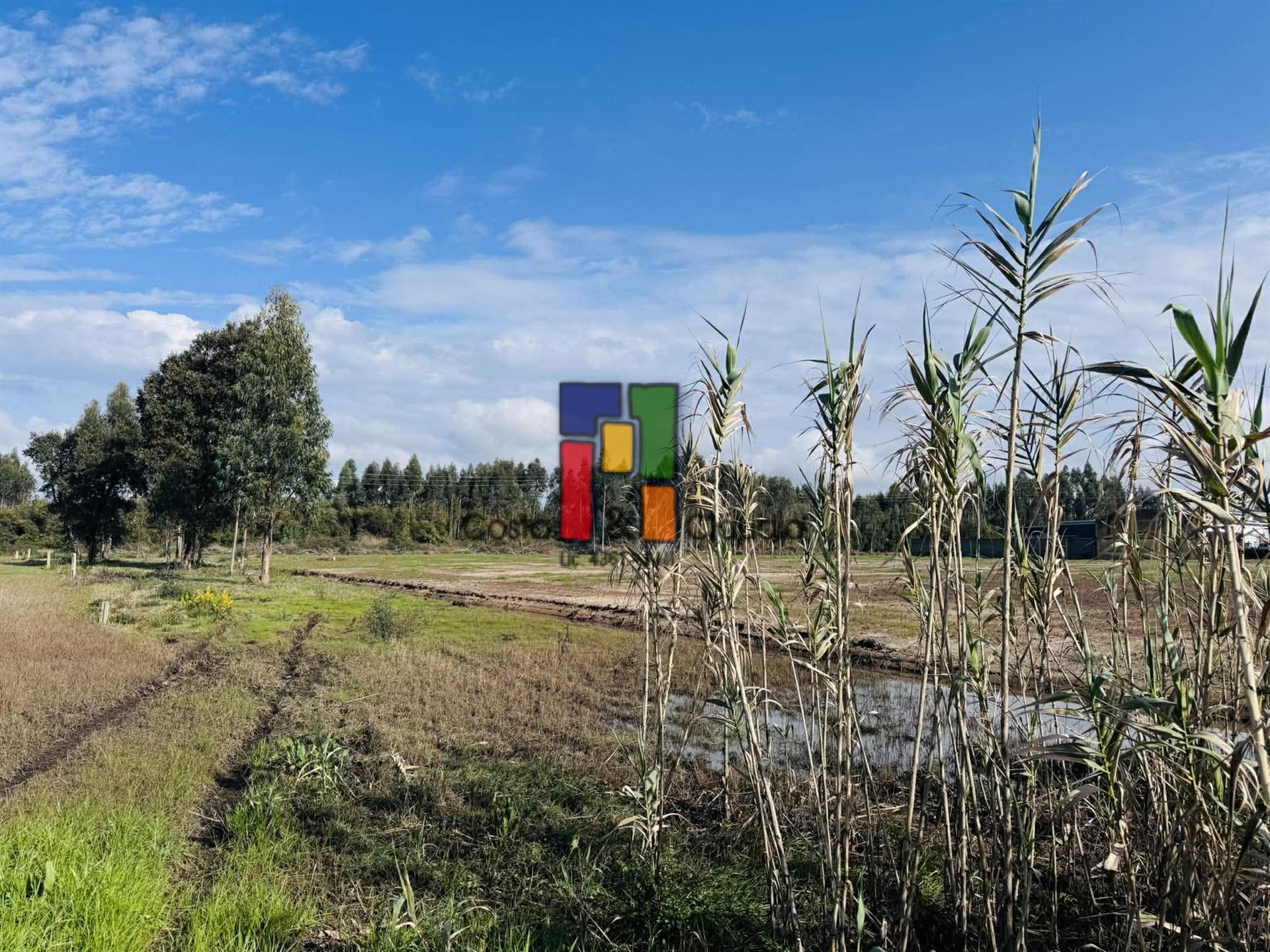 Lote Industrial  Venda em Mira,Mira