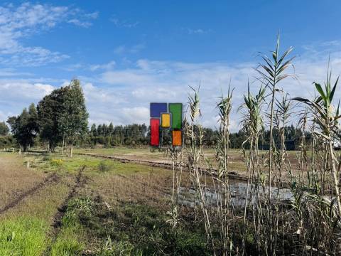 Lote Industrial  Venda em Mira,Mira