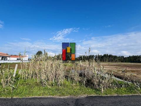 Lote Industrial  Venda em Mira,Mira