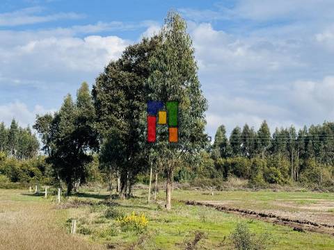 Lote Industrial  Venda em Mira,Mira