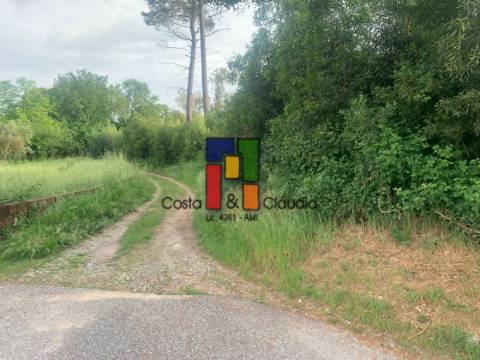 Terreno Urbano  Venda em Tondela e Nandufe,Tondela
