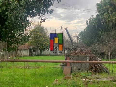 Moradia Devoluta T2 Venda em Viseu,Viseu