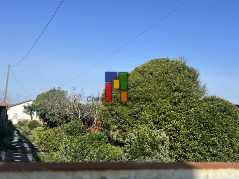 Moradia Devoluta T2 Venda em Viseu,Viseu