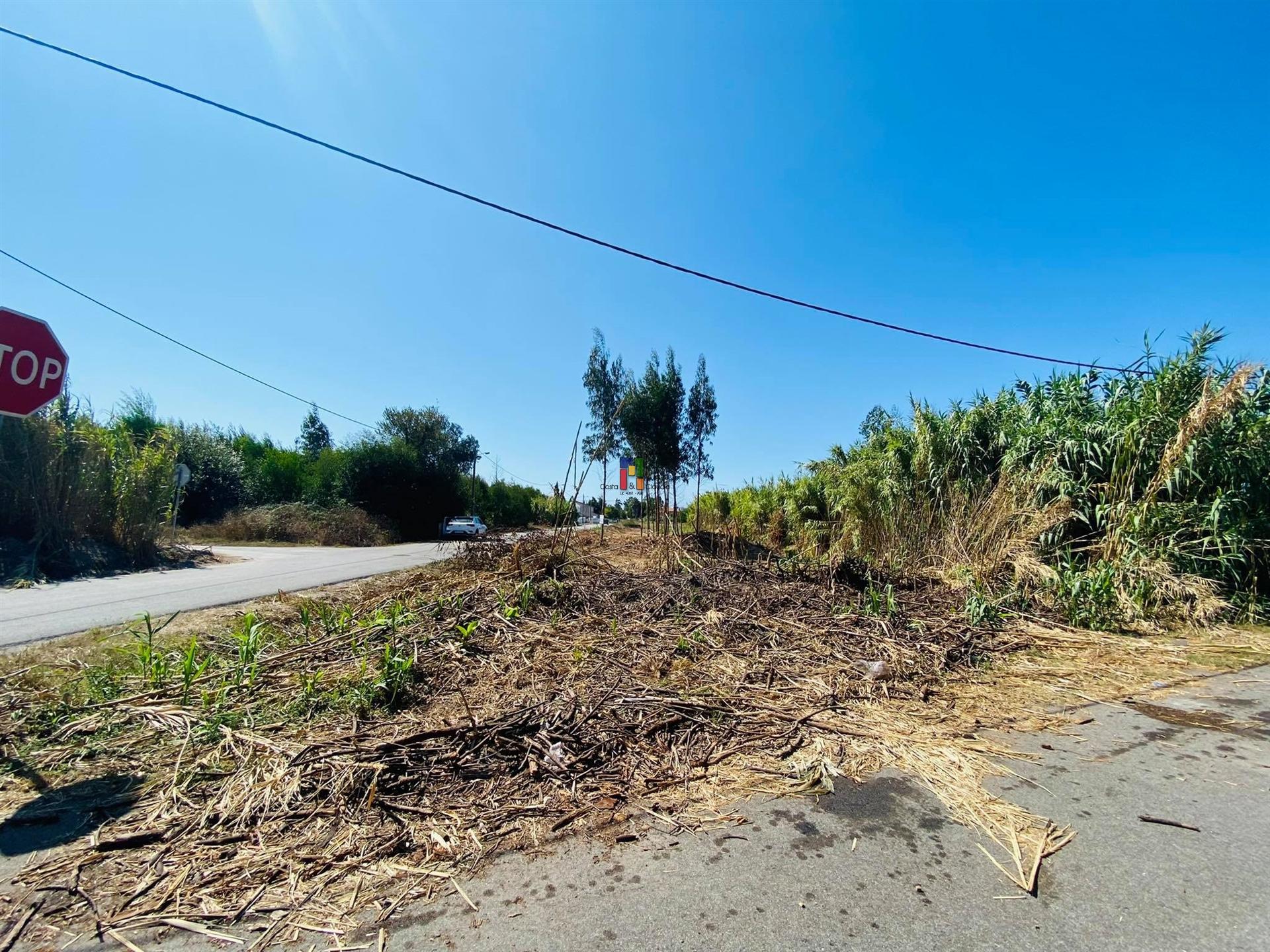Terreno Urbano T3 Venda em Mira,Mira