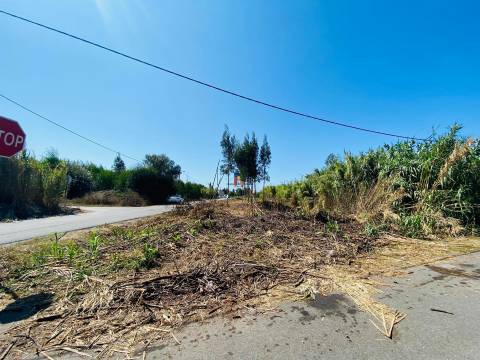 Terreno Urbano T3 Venda em Mira,Mira