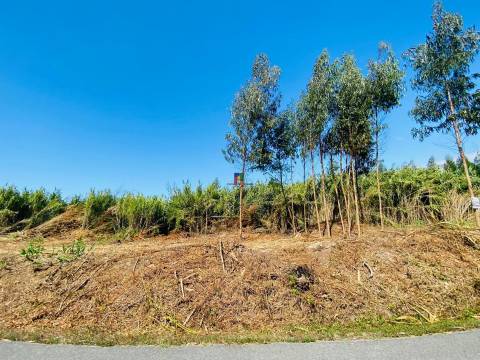 Terreno Urbano T3 Venda em Mira,Mira