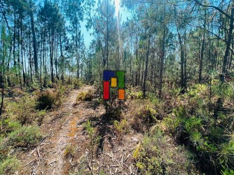 Terreno Rústico  Venda em Cantanhede e Pocariça,Cantanhede