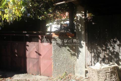 Quinta  Venda em Parada de Ester e Ester,Castro Daire