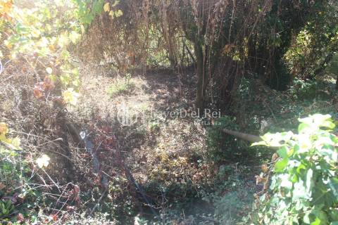 Quinta  Venda em Parada de Ester e Ester,Castro Daire