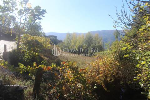 Quinta  Venda em Parada de Ester e Ester,Castro Daire