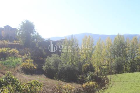 Quinta  Venda em Parada de Ester e Ester,Castro Daire