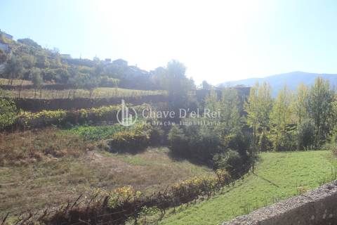 Quinta  Venda em Parada de Ester e Ester,Castro Daire