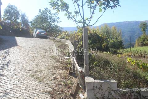 Quinta  Venda em Parada de Ester e Ester,Castro Daire