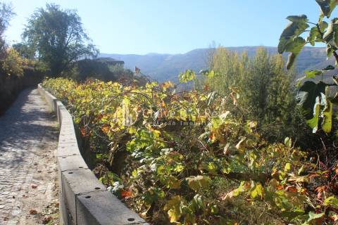 Quinta  Venda em Parada de Ester e Ester,Castro Daire