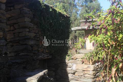 Quinta  Venda em Parada de Ester e Ester,Castro Daire