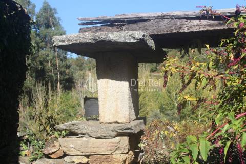 Quinta  Venda em Parada de Ester e Ester,Castro Daire