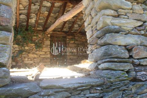 Quinta  Venda em Parada de Ester e Ester,Castro Daire