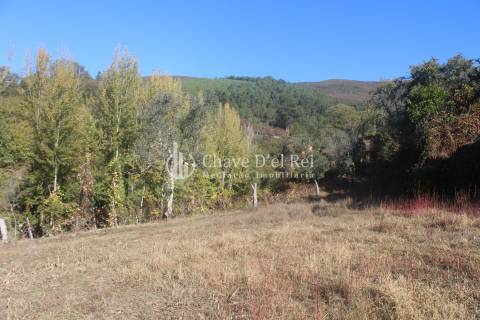 Quinta  Venda em Parada de Ester e Ester,Castro Daire